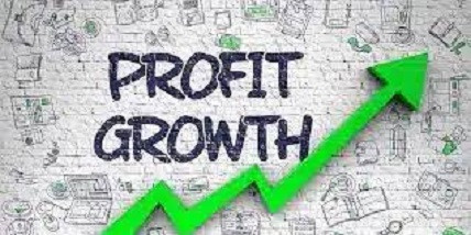 What is Profit, and How to Unleash Its Potential: A Guide for Growth-Minded Businesses?